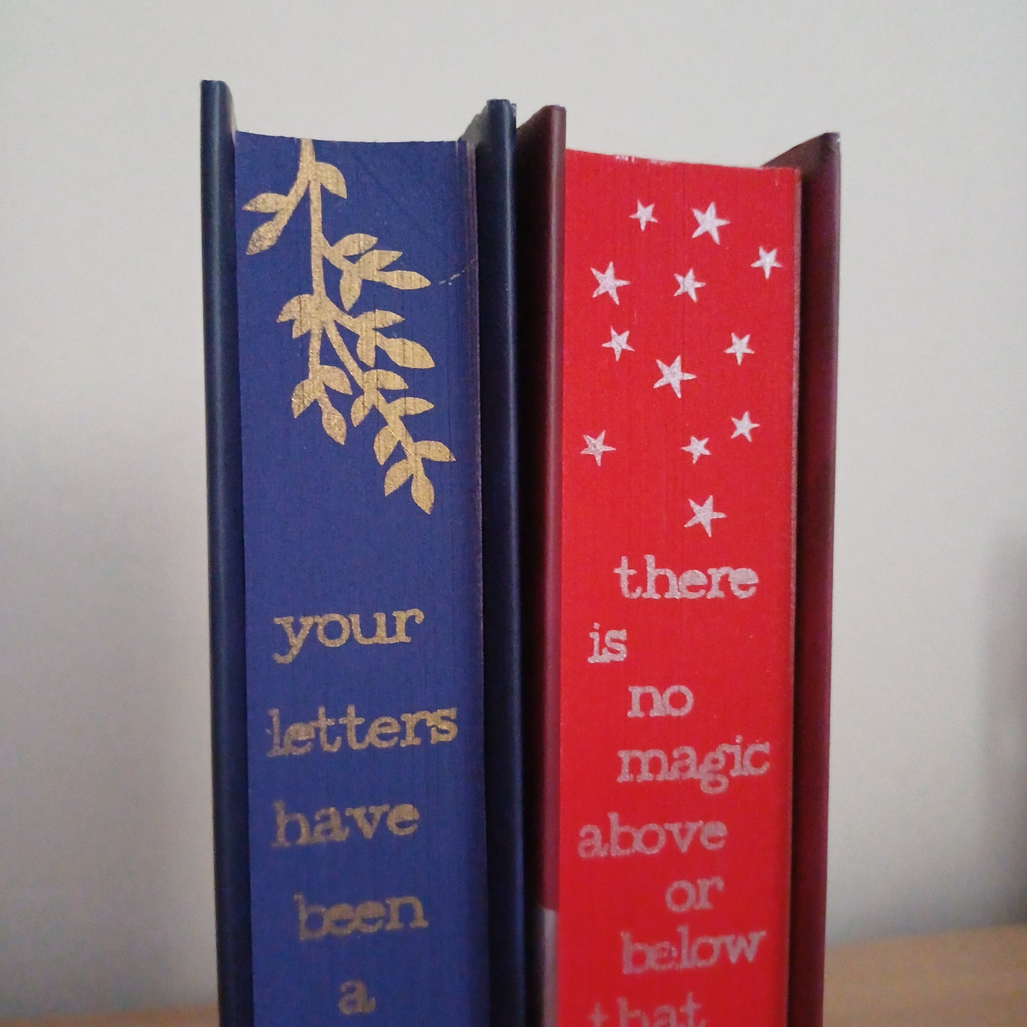 Letters of Enchantment Duology with Shimmery Stencilled Edges
