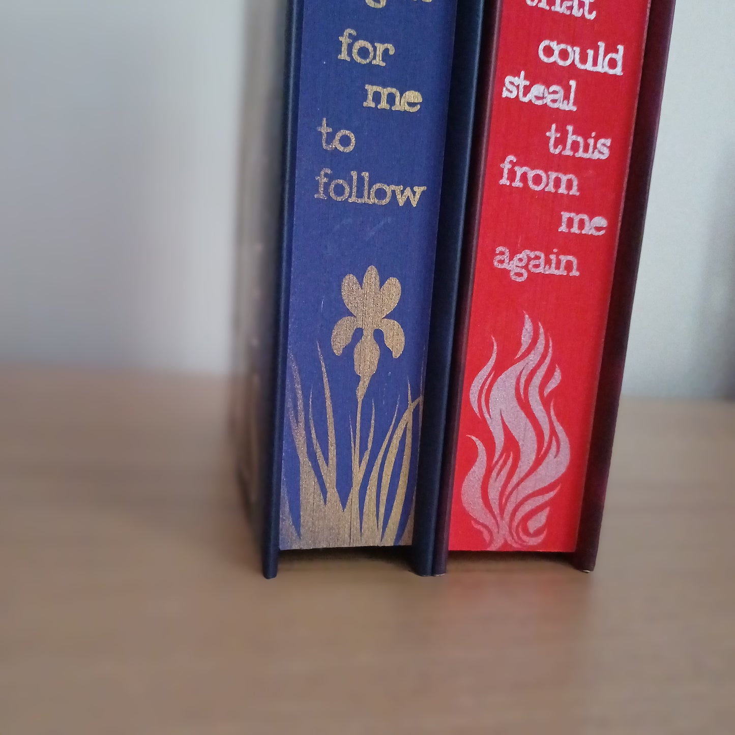 Letters of Enchantment Duology with Shimmery Stencilled Edges